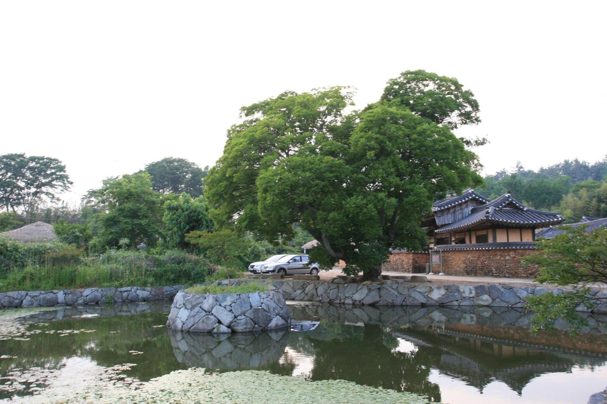 Jinrae Lee'S Traditional House Poszong Kültér fotó